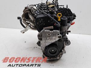 Engine from a Volkswagen Golf VIII (CD1) 2.0 GTI 16V 2020