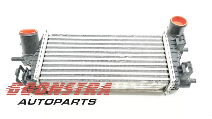 Usados Intercooler Ford C-Max (DXA) 1.0 Ti-VCT EcoBoost 12V 125 Precio € 24,95 Norma de margen ofrecido por Boonstra Autoparts