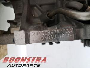 Silnik z Fiat 600 (365) 1.2 Hybrid 100 2025