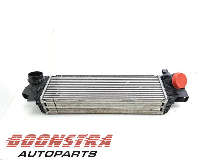 Usados Intercooler Mini Countryman (F60) 2.0 16V John Cooper Works ALL4 Precio € 99,95 IVA incluido ofrecido por Boonstra Autoparts