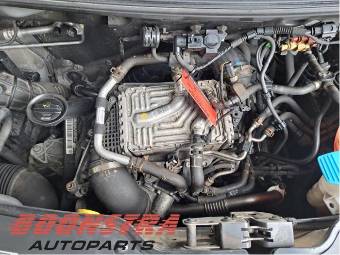Used Engine Volkswagen Transporter/Caravelle T6 2.0 TDI 150 Price € 4.895,00 Margin scheme offered by Boonstra Autoparts