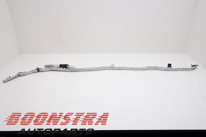 Roof airbag