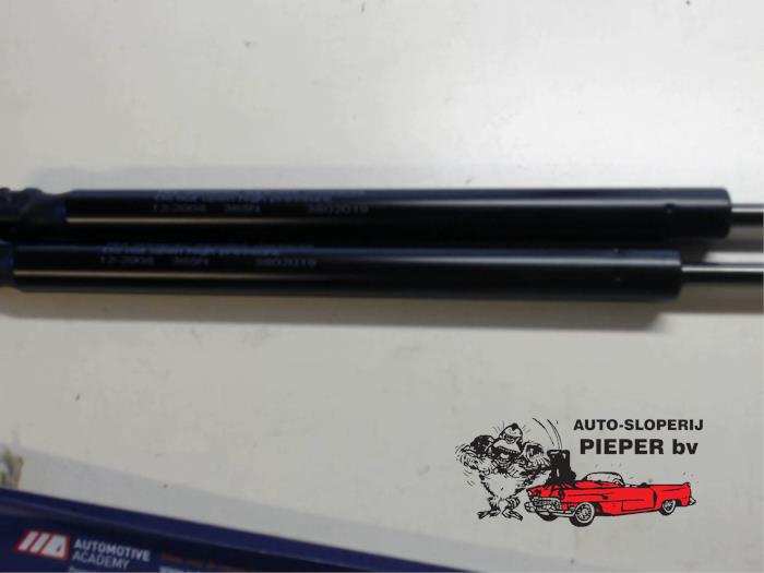Set of tailgate gas struts Suzuki Alto - 3802019