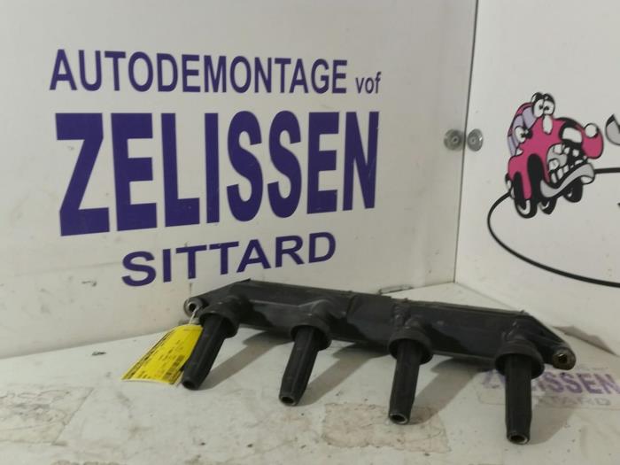 Usagé Bobine BMW X5 (E53) 3.0d 24V Prix sur demande proposé par Zelissen V.O.F. autodemontage