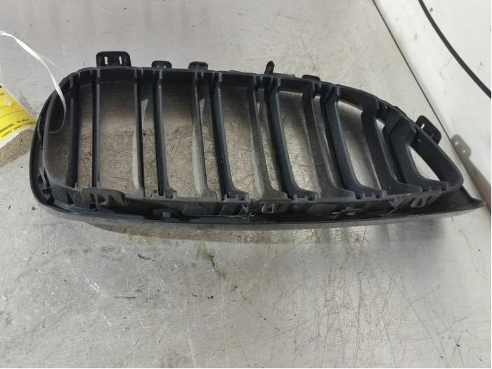 Grille from a BMW 3 serie (E92) 325i 2007