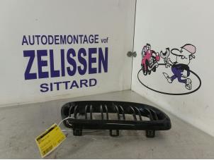 Usagé Calandre BMW 3 serie (E92) 325i Prix € 26,25 Règlement à la marge proposé par Zelissen V.O.F. autodemontage