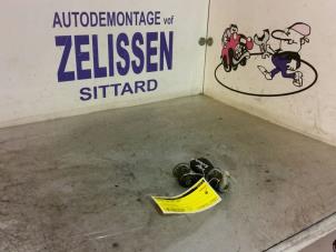 Gebrauchte Türschlosszylinder links Peugeot 206 CC (2D) Preis € 31,50 Margenregelung angeboten von Zelissen V.O.F. autodemontage