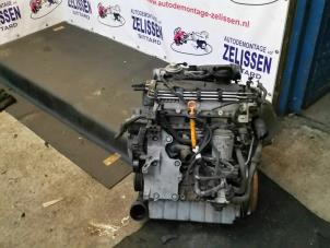 Usagé Moteur Skoda Octavia (1Z3) 1.9 TDI Prix € 1.200,00 Règlement à la marge proposé par Zelissen V.O.F. autodemontage