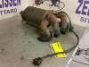 Exhaust manifold + catalyst from a Opel Agila (A) 1.2 16V 2001