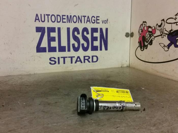 Usagé Bobine Volkswagen Polo IV (9N1/2/3) 1.2 12V Prix € 15,75 Règlement à la marge proposé par Zelissen V.O.F. autodemontage