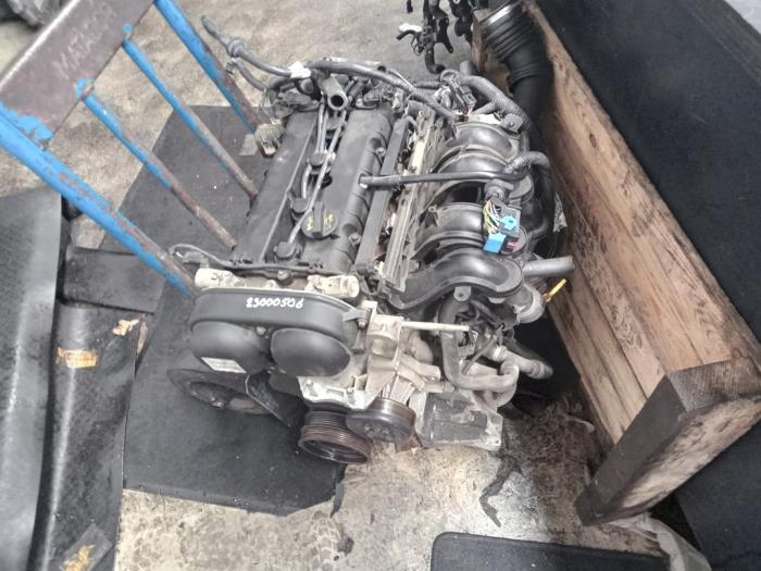 Used Engine Ford Focus 2 1.6 Ti-VCT 16V Price € 450,00 Margin scheme offered by Zelissen V.O.F. autodemontage