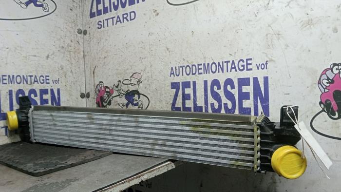 Usados Intercooler Fiat Ducato (250) E-Ducato Precio € 131,25 Norma de margen ofrecido por Zelissen V.O.F. autodemontage