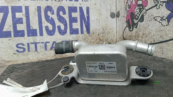 Gebrauchte Ölkühler Fiat Ducato Preis € 89,25 Margenregelung angeboten von Zelissen V.O.F. autodemontage