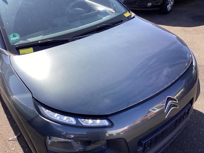 Używane Maska Citroen C4 Cactus (0B/0P) 1.2 PureTech 82 12V Cena € 523,95 Procedura marży oferowane przez Zelissen V.O.F. autodemontage