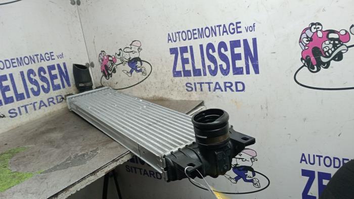 Gebrauchte Ladeluftkühler Nissan Interstar (X70) 2.5 dCi 16V Euro III Preis € 99,75 Margenregelung angeboten von Zelissen V.O.F. autodemontage
