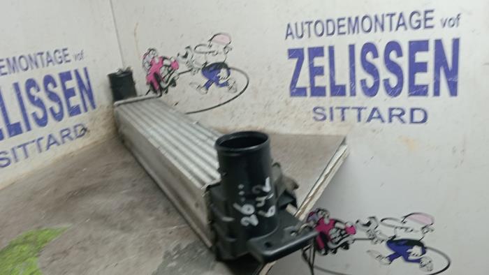 Usagé Intercooler Chevrolet Captiva (C100) Prix € 99,75 Règlement à la marge proposé par Zelissen V.O.F. autodemontage