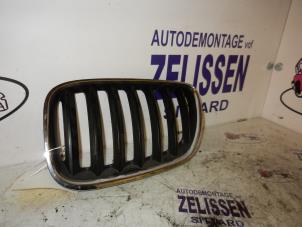 Usagé Calandre BMW X5 (E53) 3.0d 24V Prix sur demande proposé par Zelissen V.O.F. autodemontage