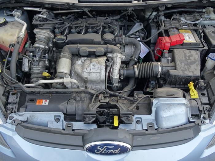 grot Een centrale tool die een belangrijke rol speelt Begunstigde Engine Ford Fiesta VII 1.6 TDCi 16V - 1699880 HHJC HHJC