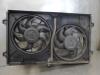 Cooling fans from a Seat Alhambra (7V8/9), 1996 / 2010 1.9 TDi 115, MPV, Diesel, 1.896cc, 85kW (116pk), FWD, AUY, 2000-06 / 2010-03, 7V9 2003