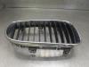 Grille from a BMW 1-Serie 2008