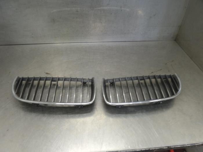 Grille from a BMW 3-Serie 2007