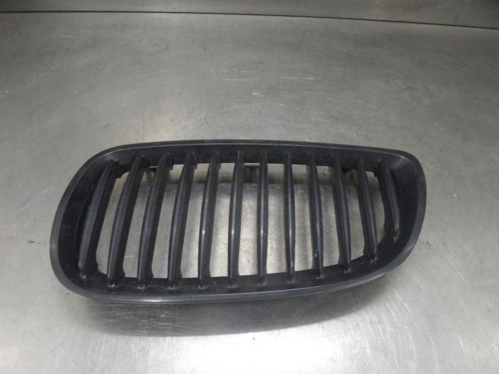 Grille from a BMW 3-Serie 2006