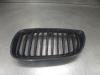 BMW 3-Serie Grill