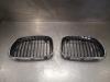 Grille from a BMW 1-Serie 2009