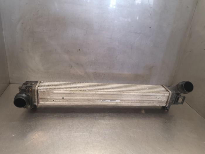 Usados Intercooler Renault Megane Scenic Precio de solicitud ofrecido por Bongers Auto-Onderdelen Zeeland