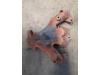 Exhaust manifold from a Renault Kangoo 2009