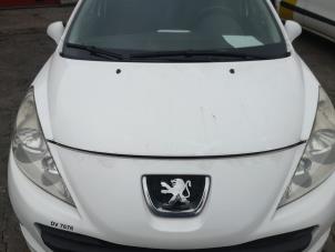 Used Bonnet Peugeot 207 SW (WE/WU) 1.6 HDi 16V Price on request offered by Bongers Auto-Onderdelen Zeeland