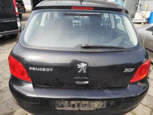 Used Tailgate Peugeot 307 (3A/C/D) 1.6 16V Price on request offered by Bongers Auto-Onderdelen Zeeland