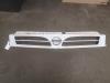 Grille from a Nissan Interstar 2006