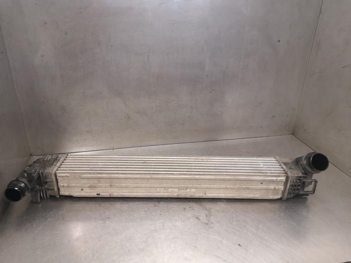 Used Intercooler Dacia Duster (HS) 1.5 dCi Price on request offered by Bongers Auto-Onderdelen Zeeland