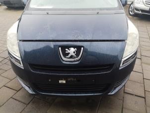 Used Front bumper Peugeot 5008 I (0A/0E) 1.6 VTI 16V Price on request offered by Bongers Auto-Onderdelen Zeeland