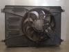 Ford S-Max (GBW) 2.0 TDCi 16V 130 Cooling fans