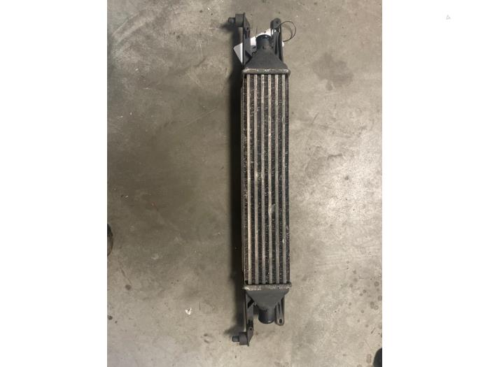 Usados Intercooler Fiat Grande Punto (199) 1.3 JTD Multijet 16V Precio de solicitud ofrecido por Bongers Auto-Onderdelen Zeeland