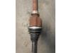 Front drive shaft, right from a Fiat Ducato (250) 2.3 D 150 Multijet 2016