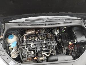Gebrauchte Motor Volkswagen Golf Plus (5M1/1KP) 1.6 TDI 16V 105 Preis auf Anfrage angeboten von Bongers Auto-Onderdelen Zeeland