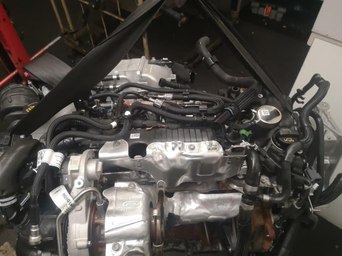 Motor de un Ford Kuga III (DFK) 2.0 EcoBlue 4x4 2022