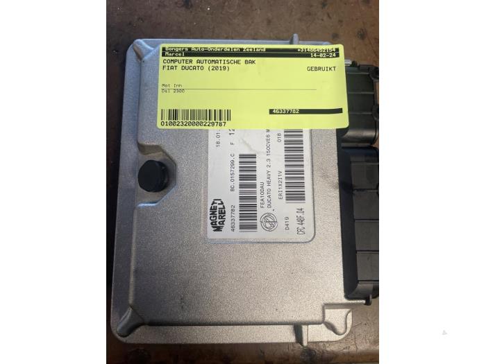 Fiat Ducato Steuergeräte Automatikkupplung Vorrat | ProxyParts.de 