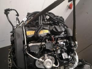 Used Engine BMW 1 serie (F21) 116i 1.5 TwinPower 12V Price on request offered by Bongers Auto-Onderdelen Zeeland