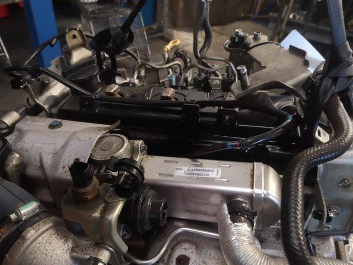 D23 Engine Engine Nissan Navara 2.5 dCi 16V 4x4 - YD25DDTI