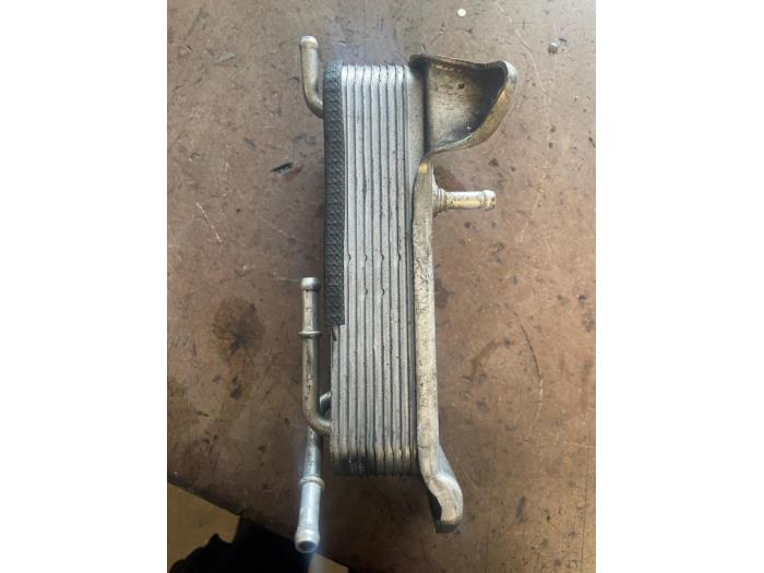 Usagé Refroidisseur de carburant Mercedes ML I (163) 2.7 270 CDI 20V Prix sur demande proposé par Bongers Auto-Onderdelen Zeeland