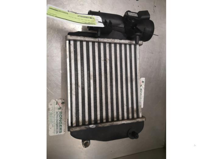 Used Intercooler Audi A6 Avant (C6) 3.0 TDI V6 24V Quattro Price on request offered by Bongers Auto-Onderdelen Zeeland