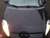 Fiat Grande Punto (199) 1.4 16V Motorhaube