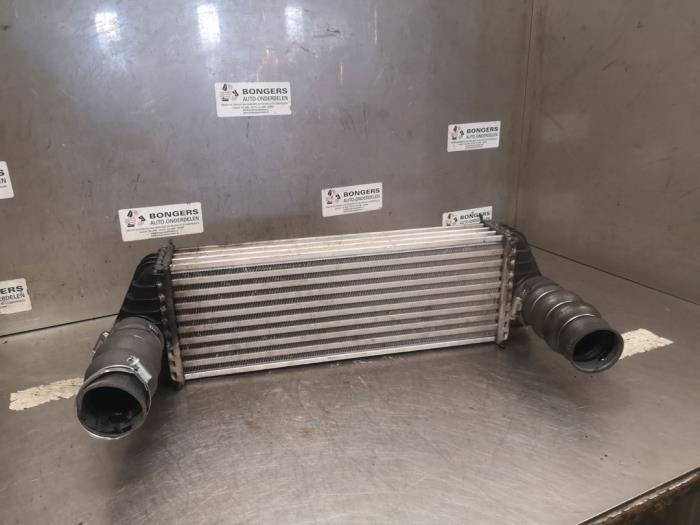 Usagé Echangeur air (Intercooler) Ford Transit Connect 1.8 TDCi 90 DPF Prix sur demande proposé par Bongers Auto-Onderdelen Zeeland