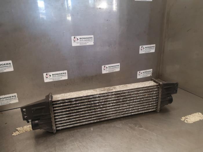 Usados Intercooler Ssang Yong Rexton 2.7 Xdi RX/RJ 270 16V Precio de solicitud ofrecido por Bongers Auto-Onderdelen Zeeland