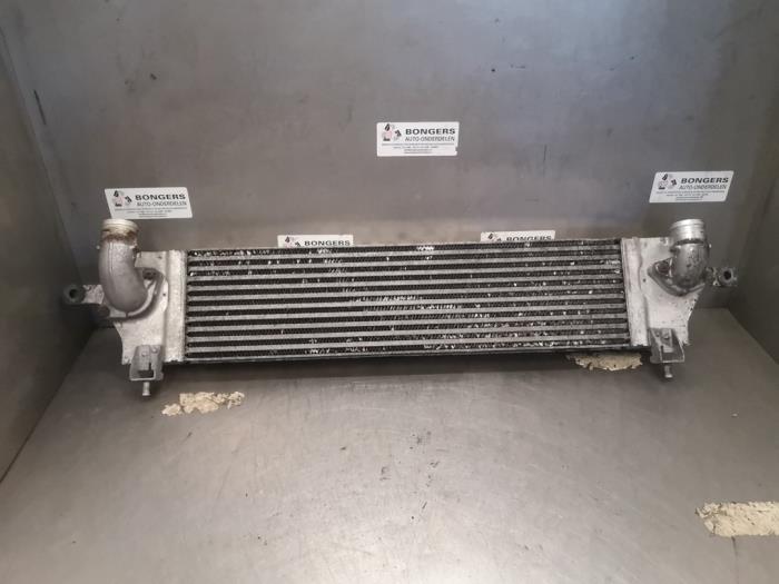 Usagé Intercooler Nissan Qashqai (J10) 1.5 dCi DPF Prix sur demande proposé par Bongers Auto-Onderdelen Zeeland