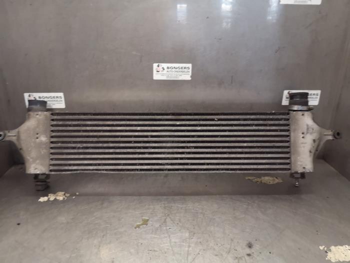 Usados Intercooler Nissan Qashqai (J10) 1.5 dCi DPF Precio de solicitud ofrecido por Bongers Auto-Onderdelen Zeeland